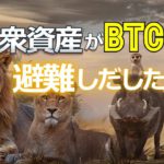 大衆資産がビットコインへ避難しだした