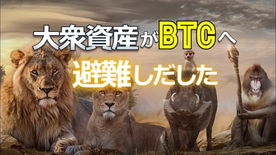 大衆資産がビットコインへ避難しだした