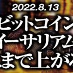 ビットコイン・イーサリアムどこまで上がる！？［2022/8/13］【仮想通貨・BTC・ETH・FX】※2倍速推奨