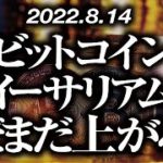 ビットコイン・イーサリアムまだまだ上がる！？［2022/8/14］【仮想通貨・BTC・ETH・FX】※2倍速推奨