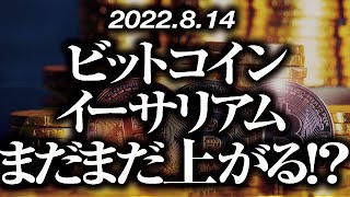 ビットコイン・イーサリアムまだまだ上がる！？［2022/8/14］【仮想通貨・BTC・ETH・FX】※2倍速推奨