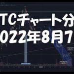 2022年8月7日ビットコイン相場分析