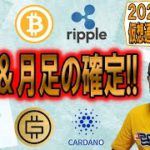 【仮想通貨 ﾋﾞｯﾄｺｲﾝBTC ＆ ｱﾙﾄｺｲﾝ 分析】週足＆月足の確定!!現在の状況を冷静に判断しろ!!