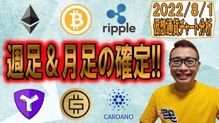 【仮想通貨 ビットコインBTC & アルトコイン 分析】週足&月足の確定!!現在の状況を冷静に判断しろ!!