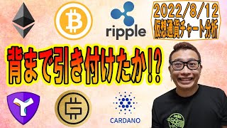 【仮想通貨 ビットコインBTC & アルトコイン 分析】『背』まで引き付けたか!?