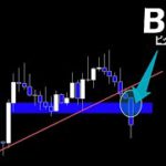 今日大事です。【BTC ビットコイン】