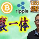 【仮想通貨 ﾋﾞｯﾄｺｲﾝBTC ＆ ｱﾙﾄｺｲﾝ 分析】表裏一体!!上 or 横 or 下のシナリオを使い分けろ!!