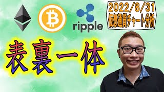 【仮想通貨 ビットコインBTC & アルトコイン 分析】表裏一体!!上 or 横 or 下のシナリオを使い分けろ!!