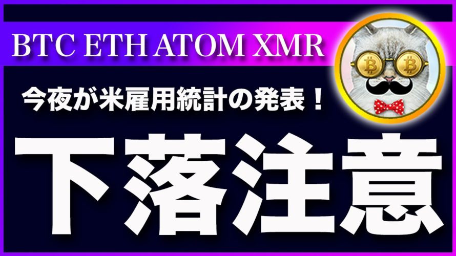 【上昇は終了?】ビットコイン・米雇用統計の発表で注目するべきポイント解説!【仮想通貨・戦略を先出しで毎日更新】