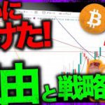 仮想通貨全面上昇！３つの大きな要因と今後の展望を探ります