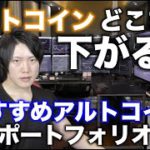 ビットコインはどこま下がる？おすすめアルトコインポートフォリオを紹介