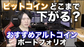 ビットコインはどこま下がる?おすすめアルトコインポートフォリオを紹介