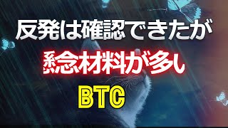 反発は確認できたが、懸念材料が多いビットコイン