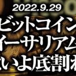 ビットコイン・イーサリアム底は割れるのか！？［2022/9/29］【仮想通貨・BTC・ETH・FX】※2倍速推奨