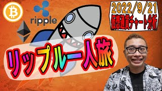 【仮想通貨 ビットコインBTC & アルトコイン 分析】リップル一人旅は続く・・・!!!