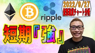 【仮想通貨 ビットコインBTC & アルトコイン 分析】短期は『強』😊👍対局はまだまだ・・・