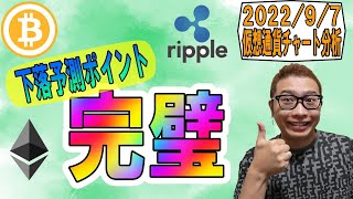 【仮想通貨 ビットコインBTC & アルトコイン 分析】下落予測ポイント完璧に捉えた!!!!