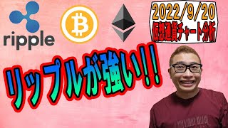 【仮想通貨 ビットコインBTC & アルトコイン 分析】リップルが強い展開が継続中!!
