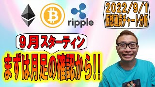 【仮想通貨 ビットコインBTC & アルトコイン 分析】9月スタート!!まずは月足の確認から!!