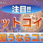 【BTC】ビットコイン今狙うならココ‼︎（2022年9月3日 相場分析）