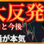 大反発、理由と今後！電通が本気！　仮想通貨ニュース+ ビットコイン イーサリアム ETC LUNC 相場分析