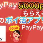 PayPay5000pキャンペーン&PayPay新対応のポイ活アプリが〇〇すぎる！！！