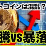 仮想通貨・ビットコインは暴騰と暴落で意見真っ二つ！