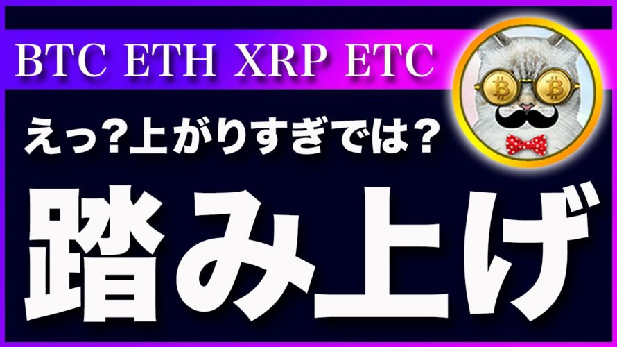 【反発の理由!】ビットコイン・再び2万ドル回帰!リスク資産が上昇した理由を考察【仮想通貨・戦略を先出しで毎日更新】