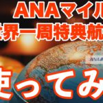 ANAマイル世界一周特典航空券使ってみた。