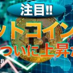 【BTC,】ビットコイン上昇か⁉︎（2022年10月8日 相場分析）