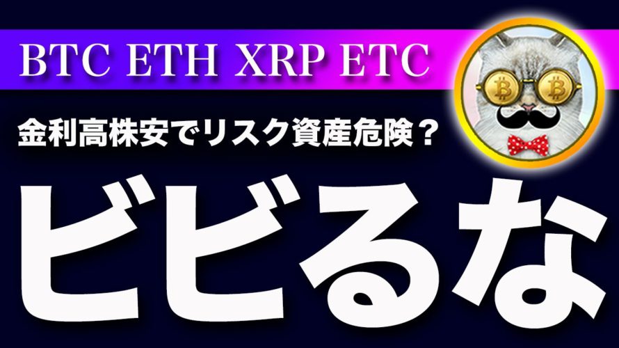 【リスクオフ】ビットコイン・恐らく米CPI前のリスク回避の動きが先行して下落したと思います【仮想通貨・戦略を先出しで毎日更新】