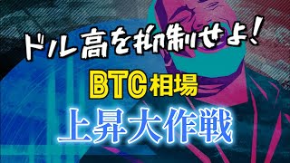 ドル高を抑制せよ!ビットコイン相場上昇大作戦