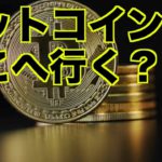 仮想通貨・ビットコインはどこへ行く？