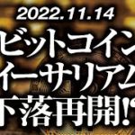 ビットコイン・イーサリアム［2022/11/14］【仮想通貨・BTC・ETH・FX】※2倍速推奨