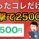 【急げ】一撃でポイント&クーポンで2500円分も貰える神案件が見つかる…