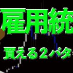 本日雇用統計！BTC買えるパターン２選【ビットコイン、その他アルト、カブ、ドル円】