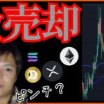 仮想通貨『全売却』報道でピンチ💀 ビットコイン ETH XRP SOL DOGE FTT SRM チャート分析