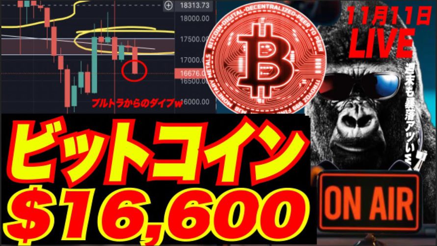 【緊急号外!FTX CH11破産申請!】ビットコイン急落で$16,500!今週末暴落継続かッ?w 依然オムツ相場の緊迫w