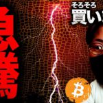 世界が急騰。仮想通貨市場は底？ SoftBankが被害!!