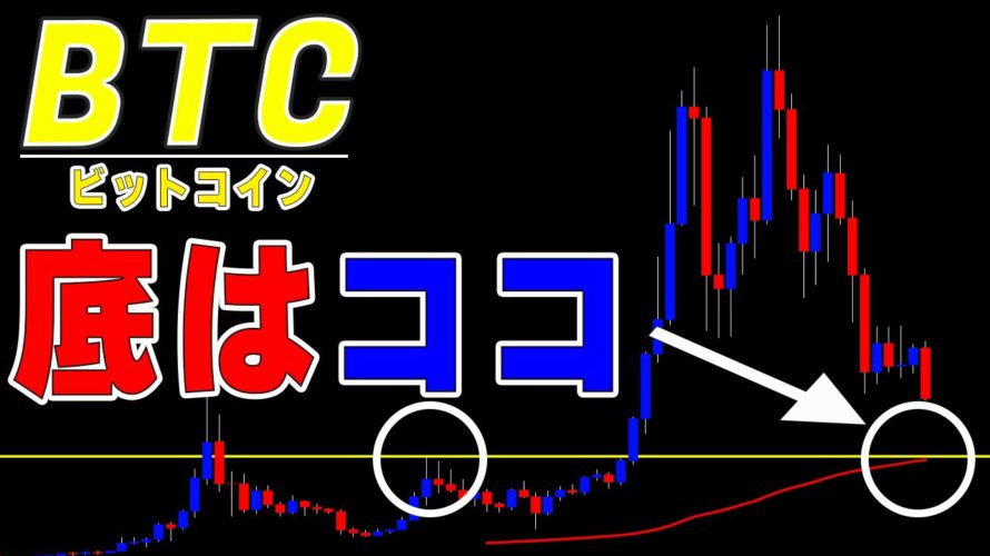 【仮想通貨ビットコイン】大底価格の予想と僕がハイレバ取引所を推奨しない理由。日経バブル崩壊チャートとの比較