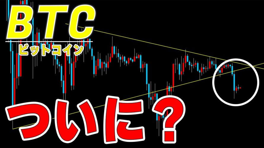 【仮想通貨ビットコイン】週明けから下落。ついにセリクラが起こる?