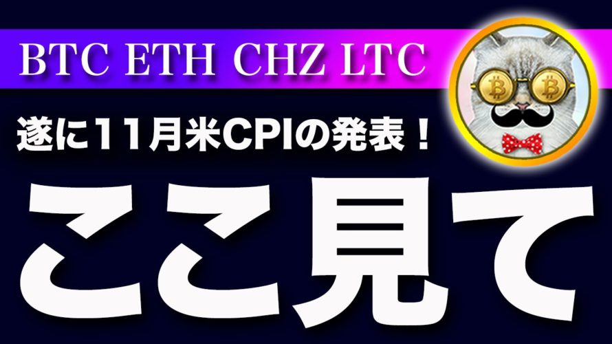 【必ず見て!】ビットコイン・11月の消費者物価指数の発表があります!この結果でトレンドが決まります!【仮想通貨・戦略を先出しで毎日更新】