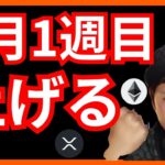 歓喜✨1月1週目にビットコインが上がるデータ発見!!　仮想通貨ニュース+BTC イーサリアム(ETH) リップル(XRP) 相場分析