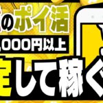 【絶対に真似して！】ポイ活で毎月安定して2,000円以上稼ぐ方法【みんなのポイ活実績】