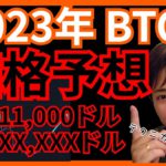 【保存版】2023年 仮想通貨 ビットコイン BTC 最高価格はXXXXXドルだ！