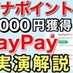 マイナポイント第2弾のやり方。PayPayで1万5千ポイント獲得する方法(健康保険証/公金受取口座登録)