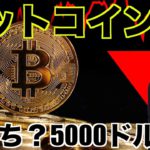 ビットコインに底打ちの可能性？5000ドル予測も⁉️