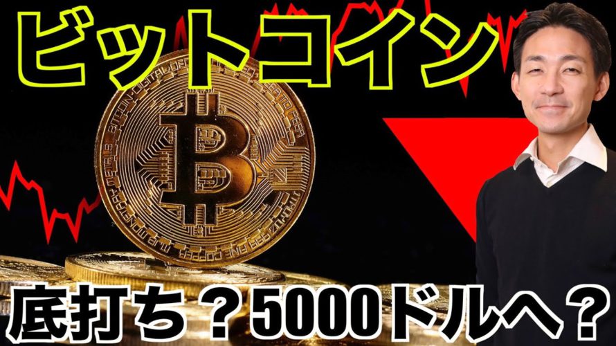 ビットコインに底打ちの可能性？5000ドル予測も⁉️