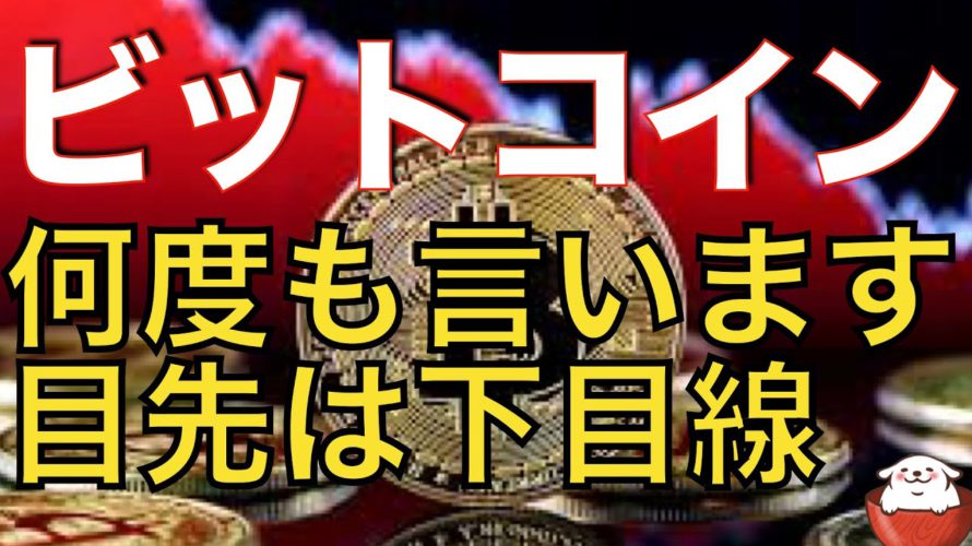【仮想通貨 ビットコイン】目先は下でも長期的な視点は買い場探しのフェーズ(朝活配信957日目 毎日相場をチェックするだけで勝率アップ)【暗号資産 Crypto】