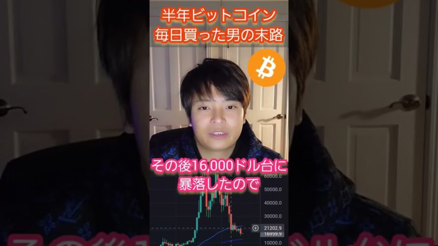 【ヤバい】半年間毎日ビットコイン(BTC)を買った男の末路 #仮想通貨 #ビットコイン #億り人